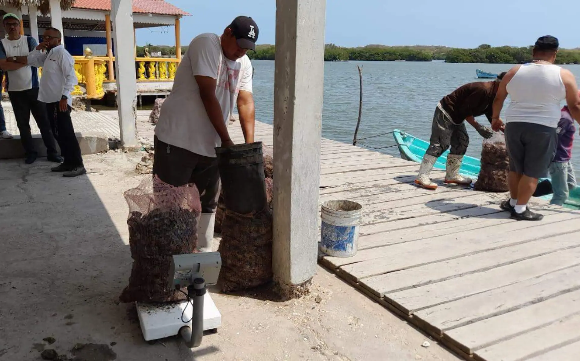 Entrada de agua dulce a la laguna de Tamiahua devasta la producción de ostión Mario Cruces (2)